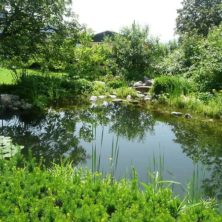 Mandl Sauna Pool Rollstuhlgaengig * Maishofen