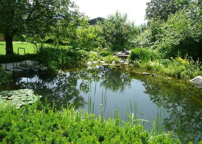 Mandl Sauna Pool Eg Rollstuhlgaengig * Maishofen